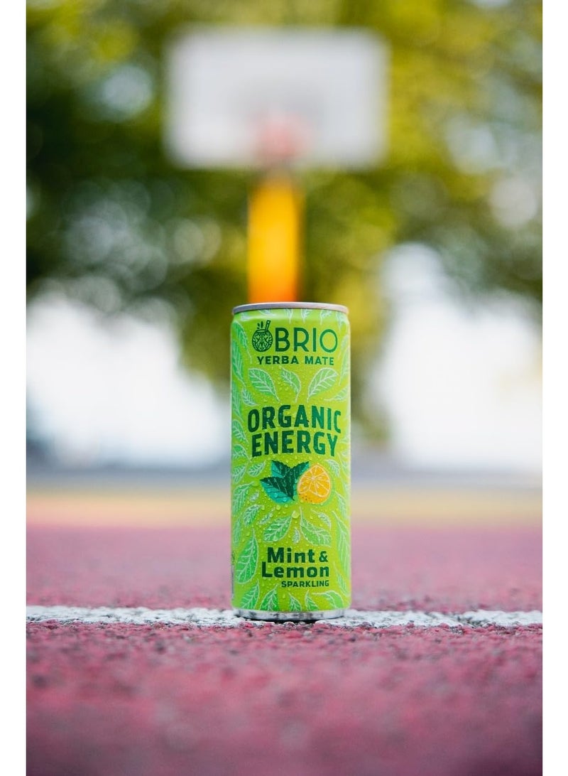 BRIO Yerba Mate, Organic Energy Drink - 160 mg Natural Plant Based Caffeine, Lemon & Mint (250ml x Pack of 12) - Image 5